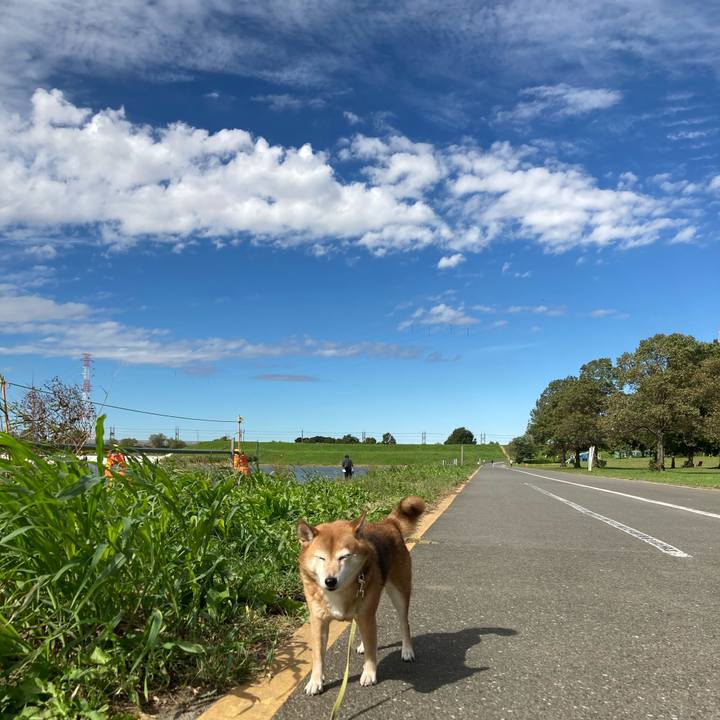 B62427d6 69bd 4c7b 8ea3 0587cf592d65 1634799591352