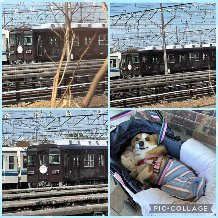 B6246d3d 09db 4242 954a 2c0b31dbfab1 1757228316955