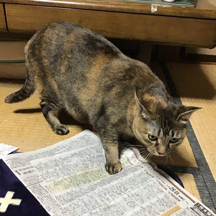 B62473a8 f819 4013 98e0 78e57d619dbd 1706270360375