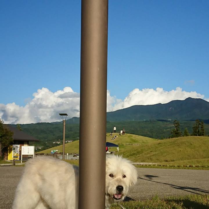 B62475fb b227 4e2b b49d 261404590c53 1570348453578