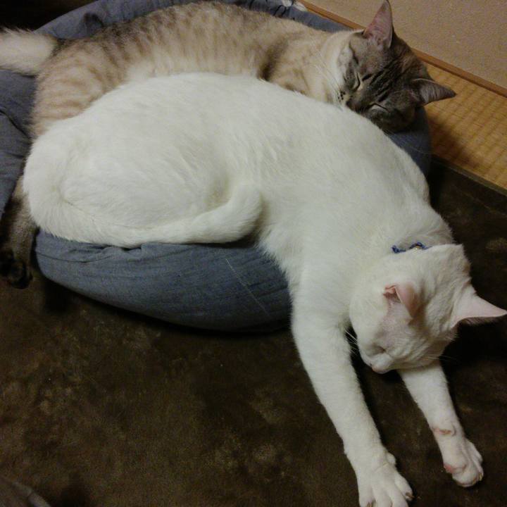 B6248fa9 6d93 4103 b5a0 e2ccab23f93b 1523721533991