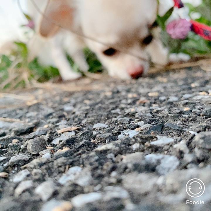 B624aadc fe4e 485b bd70 ad3773a283cd 1607334153754