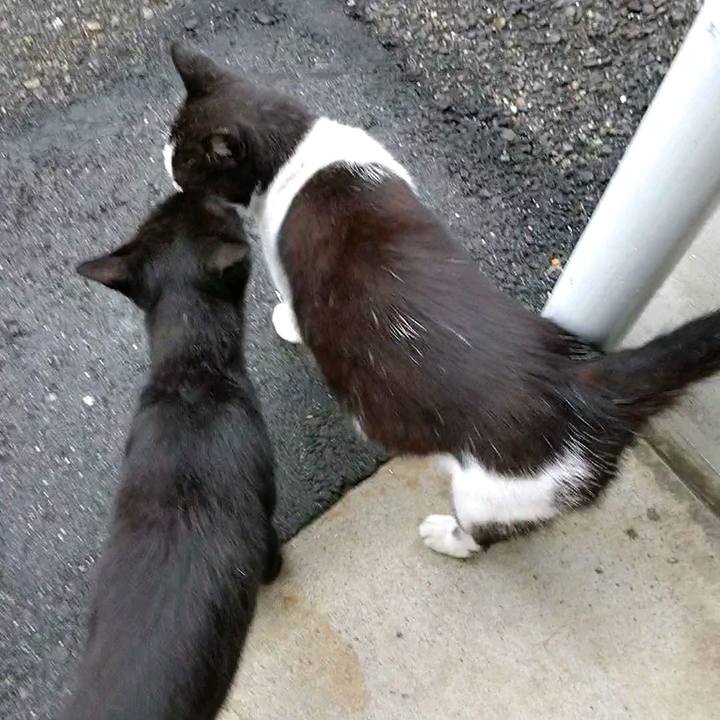 B624c1cc 2f99 422f bea6 23d282f6f1c6 1594078128012