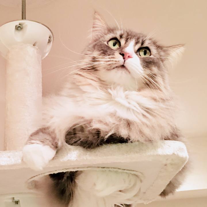 B624f78f ab02 446e 884b 267a44b4479c 1522172428712