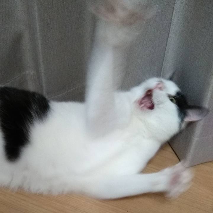 B62535f2 1fc8 452f 99a7 f80ae0951f5b 1558005704066