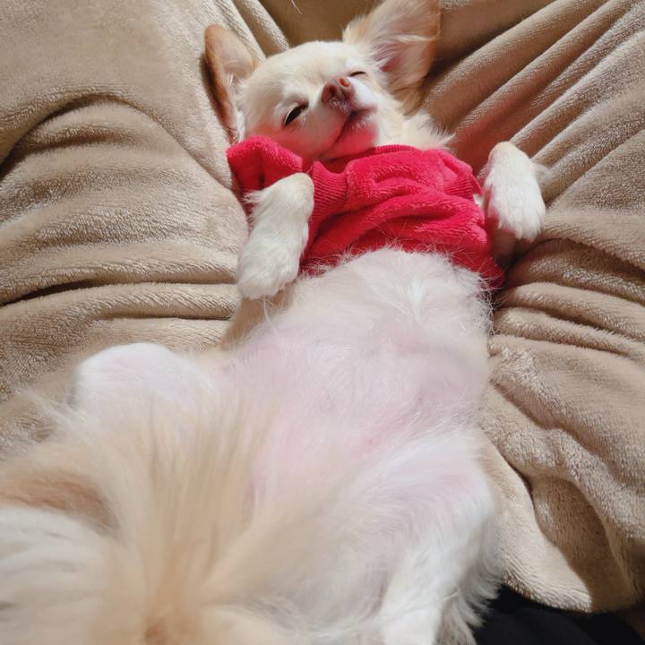 B6256c75 6f39 426e 9b63 e9da38dcccc6 1762260698128