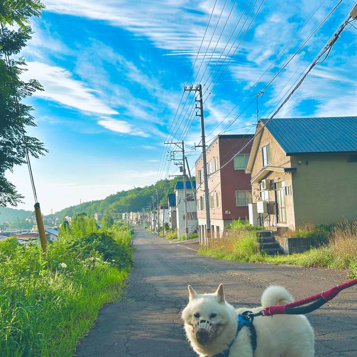 B6256e15 990c 4060 945d f863fe45e8e4 1754254963821