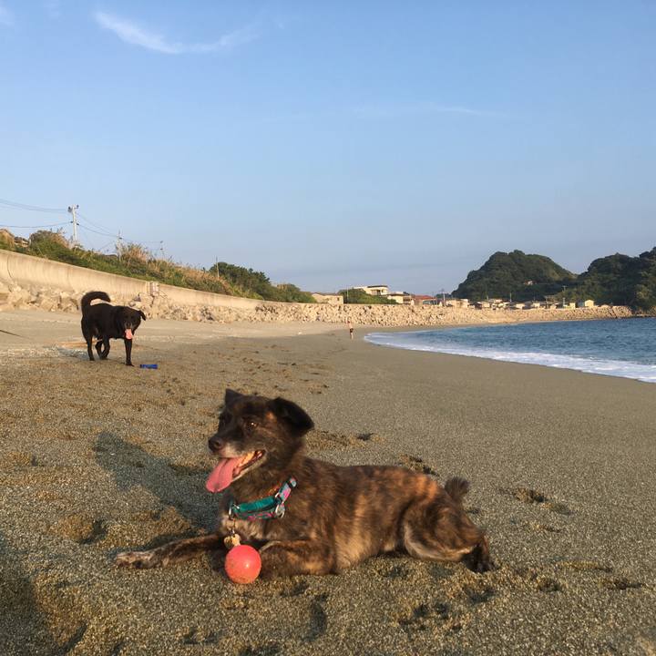 B6256f7f 8983 4ad4 837d 6ee12193dcea 1534686152737