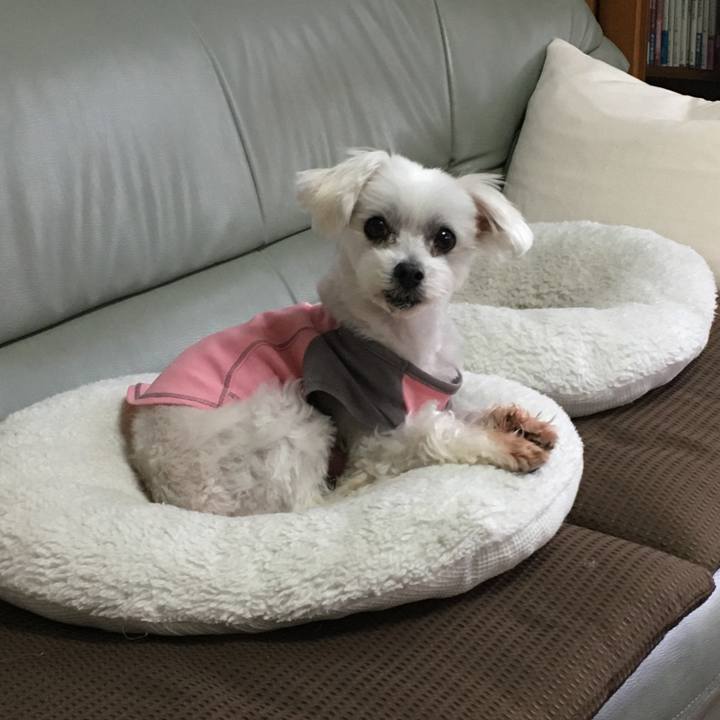 B6257a3d 3ab4 463a 8cab 3a93560aac59 1606454387029