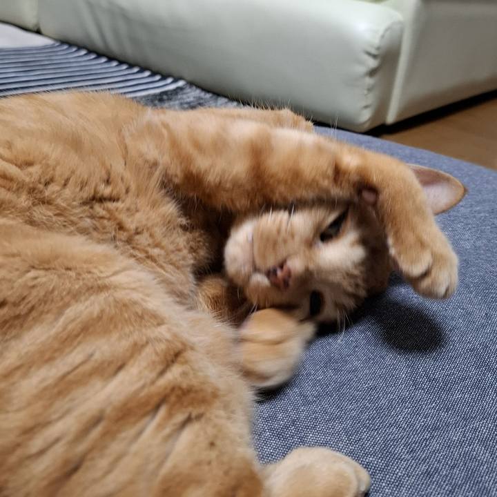 B625c82d baf9 4458 88db c70f874f3146 1736213972837