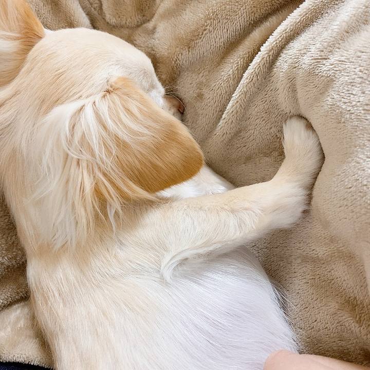 B625cae4 375c 4ea8 b46f a6ba3b8c9125 1610849556859