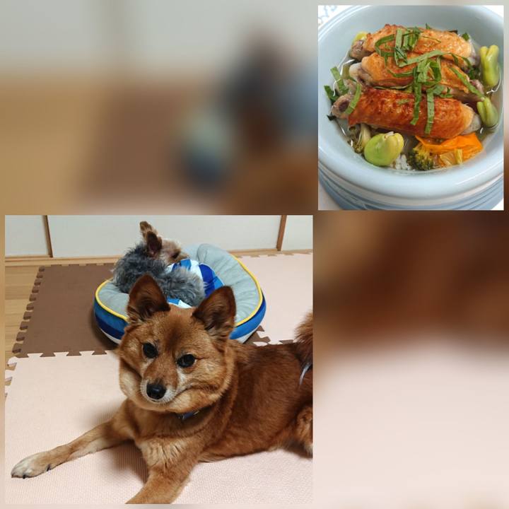 B625cca5 f516 4329 9ef3 fc96cf2dc9bf 1619446917017