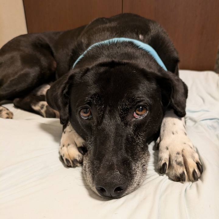 B6260c3a ae5b 4f15 adb9 af842f05a683 1720741700791