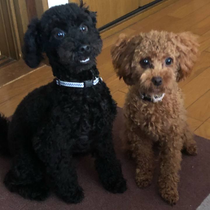 B6261ee3 3d42 4862 9b23 8ee3765fbba1 1509760811814