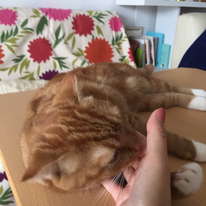 B6262519 6126 4daa a599 4e8ba2e5c563 1535771485312