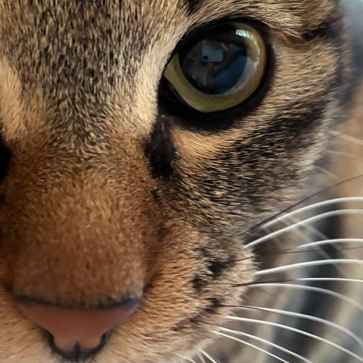 B6263027 f32c 4efe 98fb 9e508c82d293 1775256699560