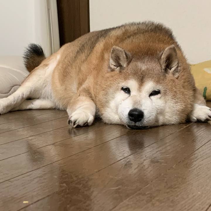 B62671ff 4555 4000 896e 8382bc47e769 1627902255202