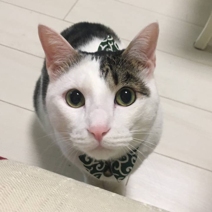 B6268c9d c935 4ac9 961b 891fada20de0 1521976869223