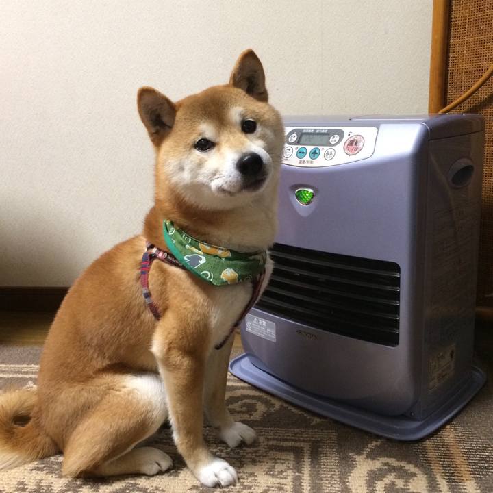 B626b210 46ca 4388 b13d 3e00ddd0fc21 1516611117549