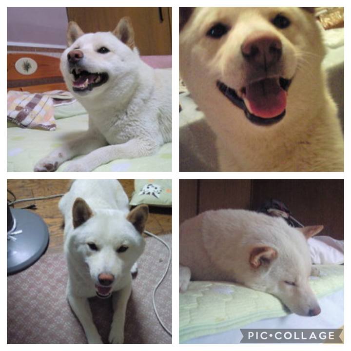 B626cf07 126a 4c29 bc98 218e52c5e416 1648530437073