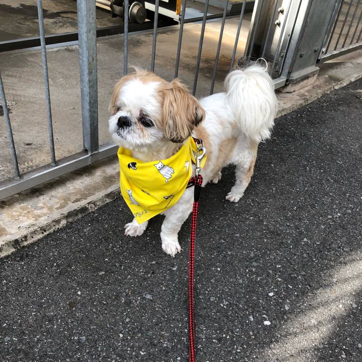 B626edb3 2ed3 488f b582 6f0fa148980d 1558993557754