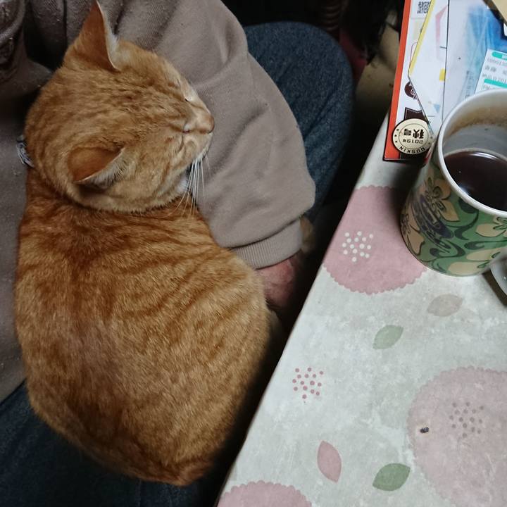 B62719b9 7d64 48f8 8818 7058be6c2ce0 1575489286699