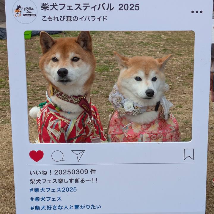 B6271b39 8550 4cd6 88fc 0fb1f5def459 1741618175723