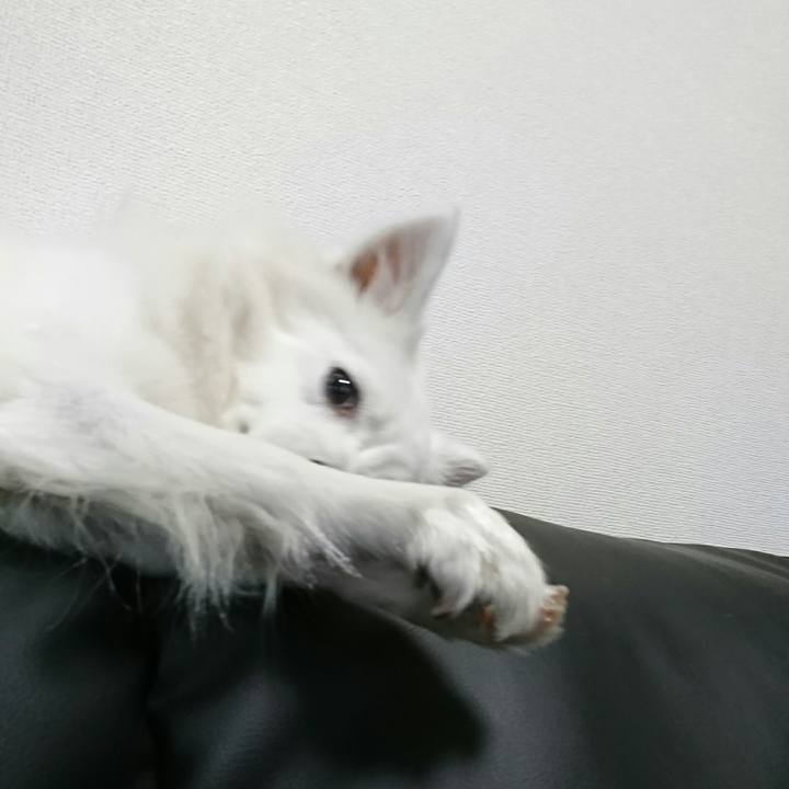 B6272540 148e 4241 a179 65513ade033a 1512195756468