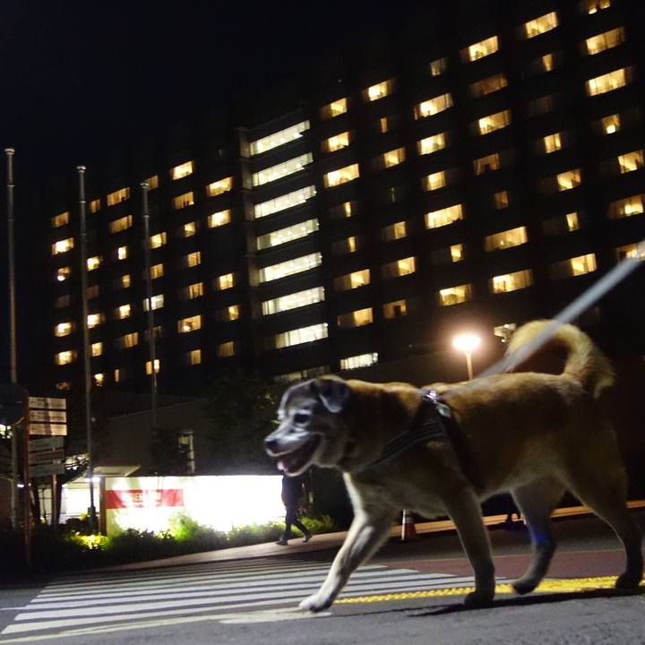 B6273981 1295 4c2f 844c 785f325da504 1557503863119