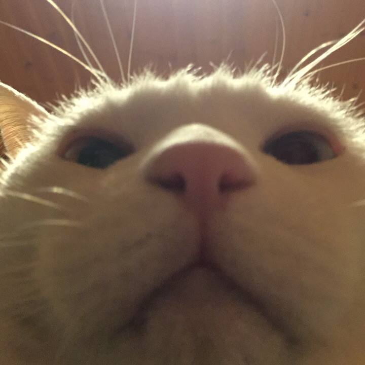 B6274278 4158 44cb 81a6 5585850d1b6f 1580112201975