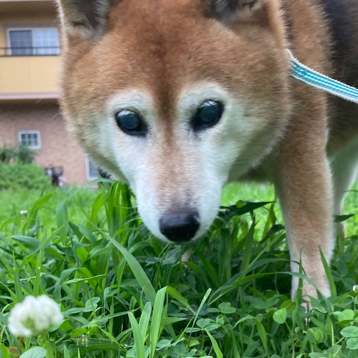 B6275ba6 80c9 46ad 80c8 72f4ff1c8d0f 1721032257814