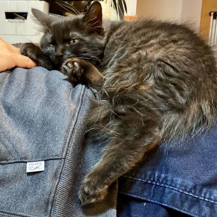 B6278774 9af0 4e5c acb8 2b2a475a335e 1701587837541