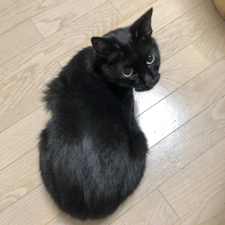 B627910f 71d4 403d 8a7b d52f76db8f35 1602331833862