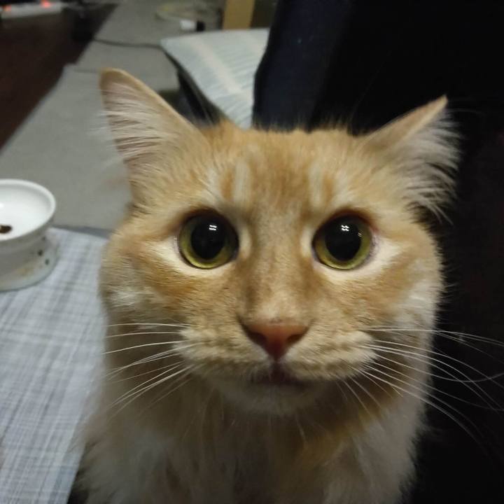 B627b070 1639 43c8 908e f2e671167f76 1681474091246