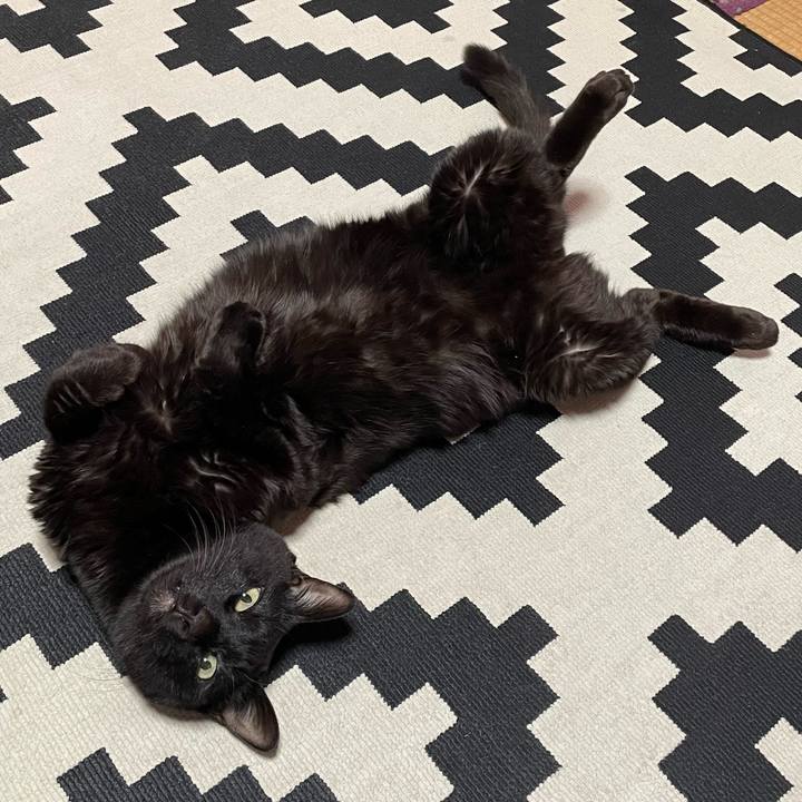 B627b13c 15bf 4489 8a1f 81c7e846026f 1766884346827