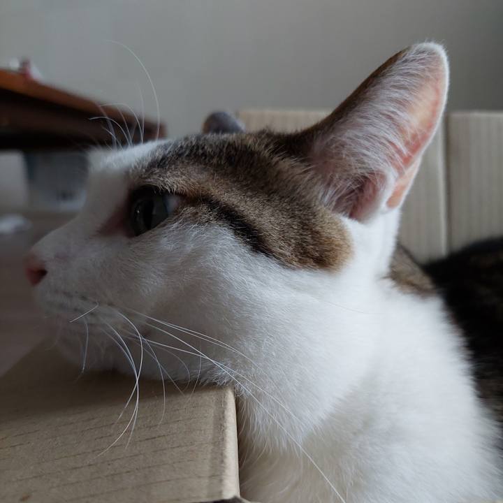 B627d2b3 f922 4559 bf12 772b1da07ec3 1654297129419