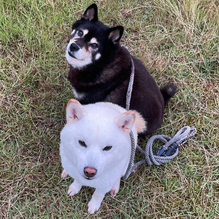 B62817f9 1bb2 41d6 b63c eb20a1974e75 1717555400565