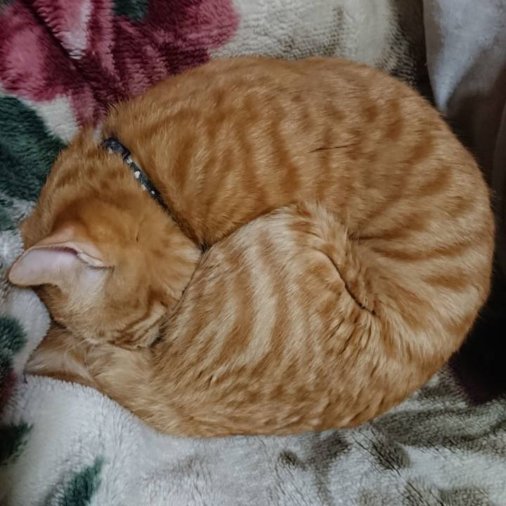 B628335e 34c6 4d84 94ab 47b24200b74e 1643285437762