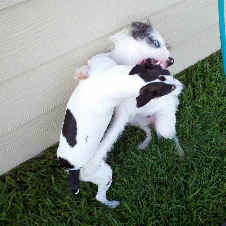 B628526b e893 49d2 94f7 53632dbda9fd 1569114460256