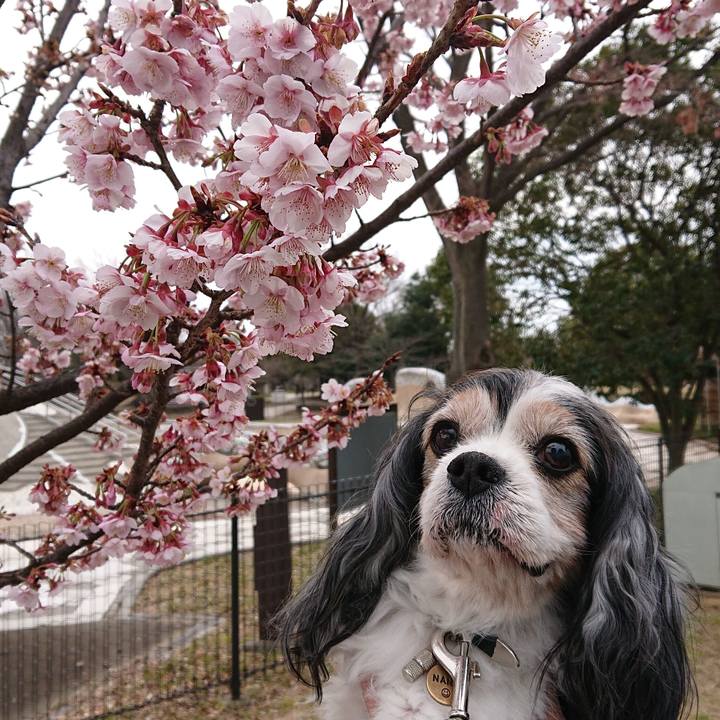 B6289a5b 6085 439b 92fb 7d44299985e0 1581735533818