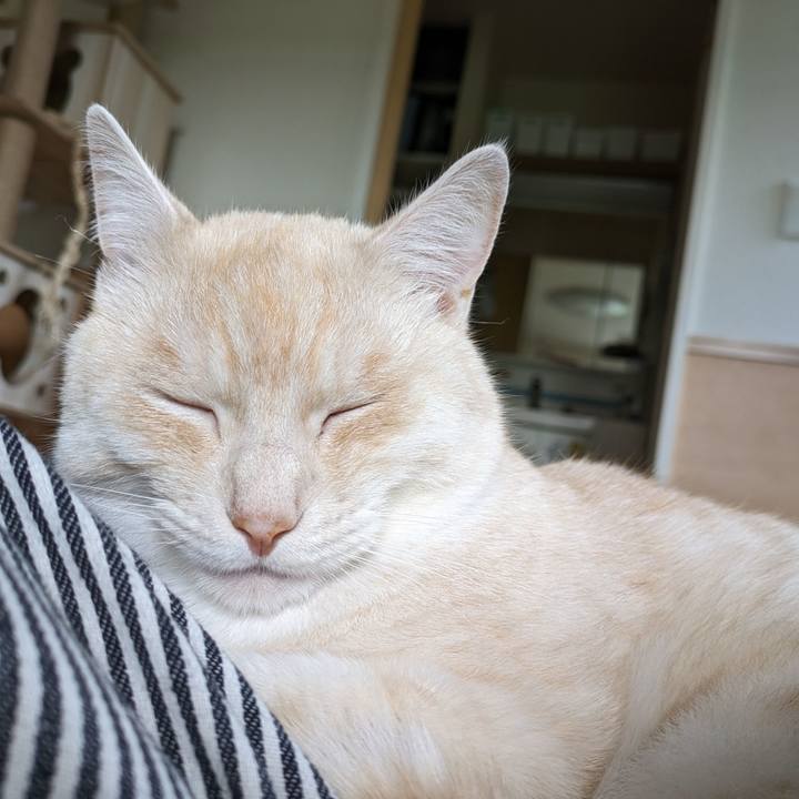 B628d81e 8681 4a5e a413 228d74815b1b 1690094227763