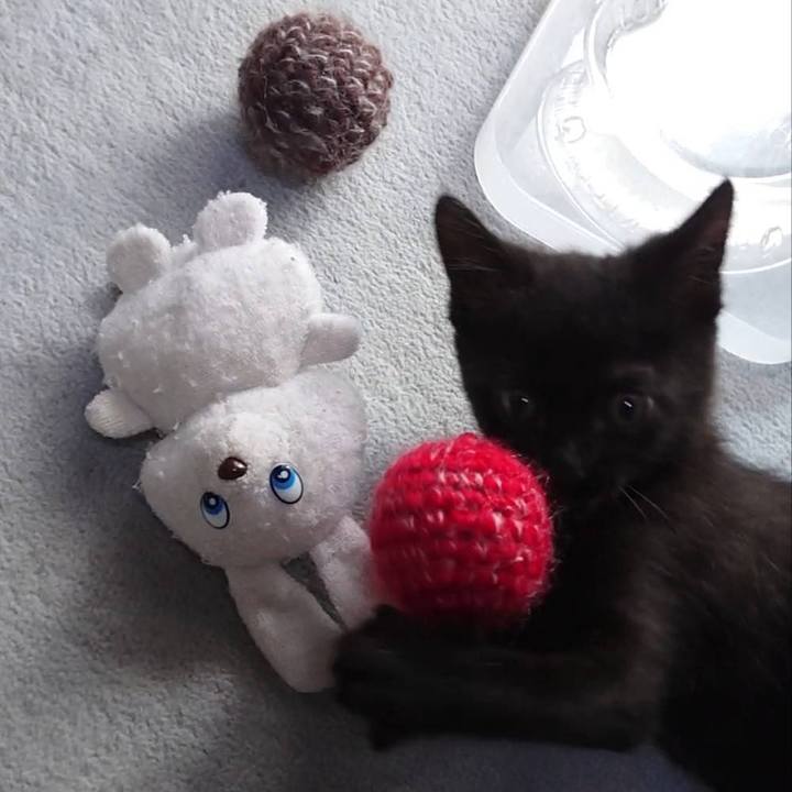 B628df1d d28b 412f a2a9 9c739402603c 1595313482369