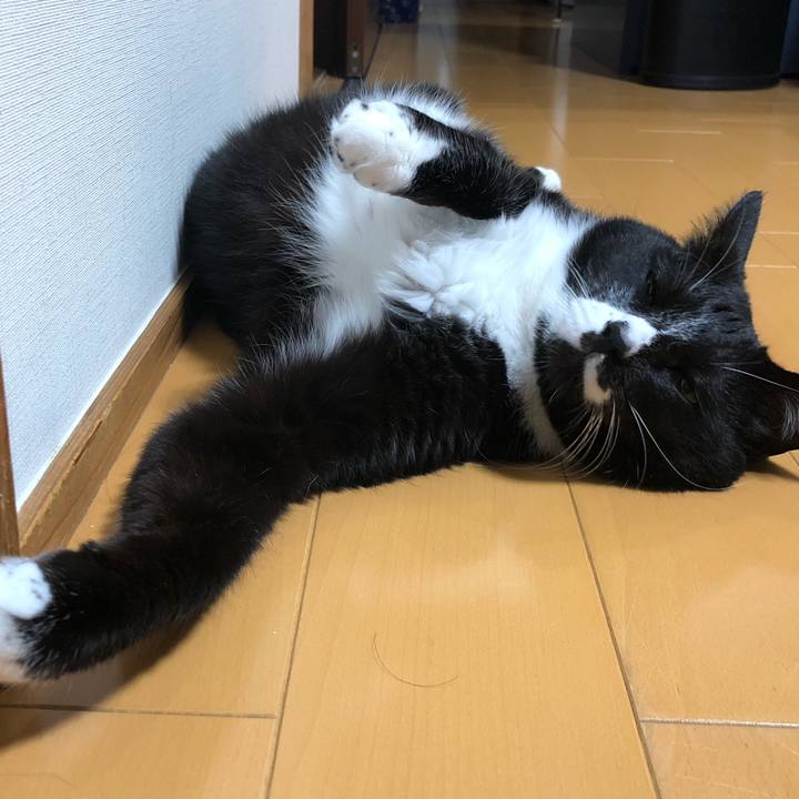 B6292446 b393 4a29 950b a3f47f01a5ed 1656387069984