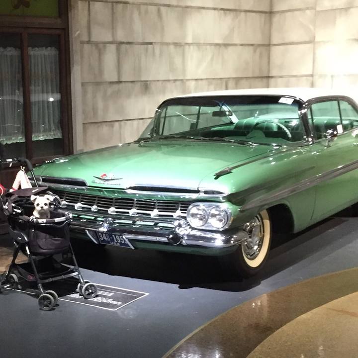 B6293ae9 b2dc 4acd 85a5 a47cc79675b7 1548584128570