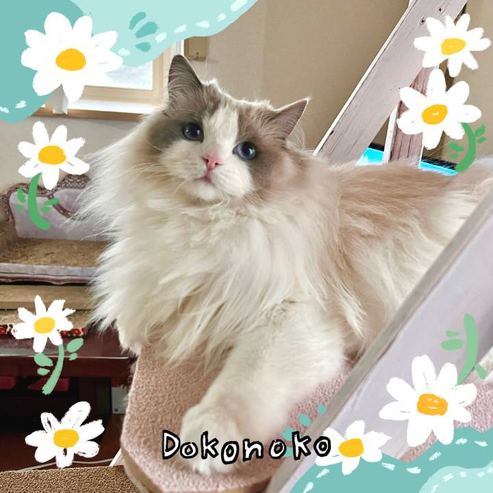 B62945bd 5b3b 4582 b775 8063a1d690cf 1712220431555