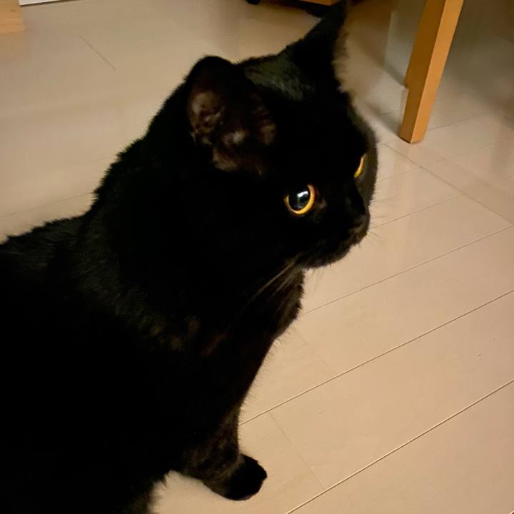 B6294860 3a62 43dd 96c7 7c062933e5dd 1638778415965