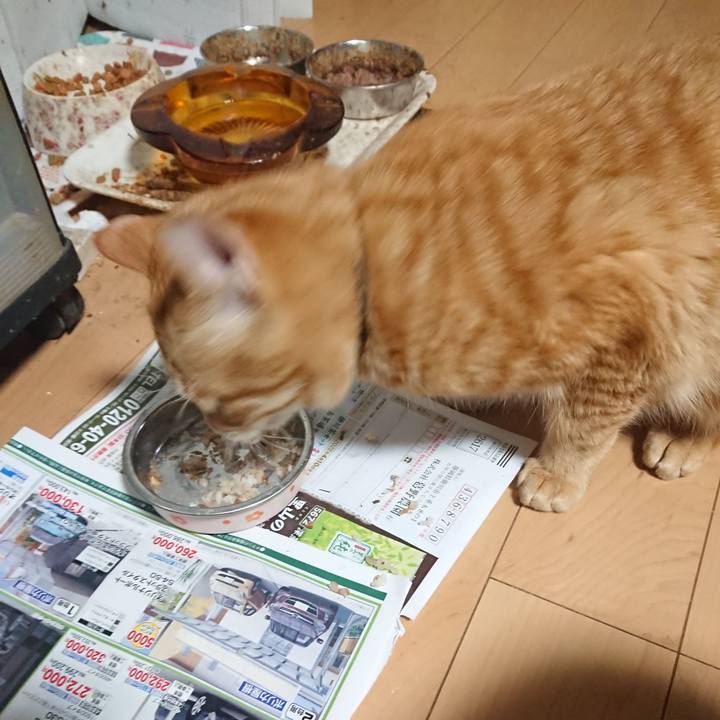 B6294e5a 37fc 4c00 8575 467c47646e74 1646820685941