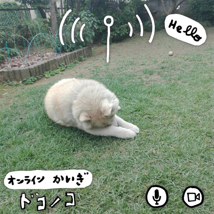B6296697 2858 44c9 84aa fa40f0eebdcf 1591428375662