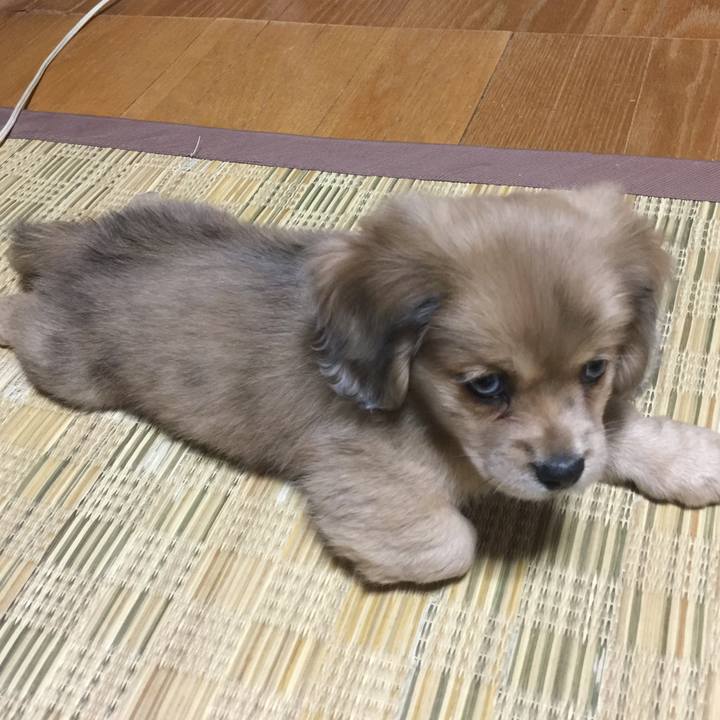 B629b089 c2d1 4df7 a6f5 e1dc98f8fb6f 1691530442407