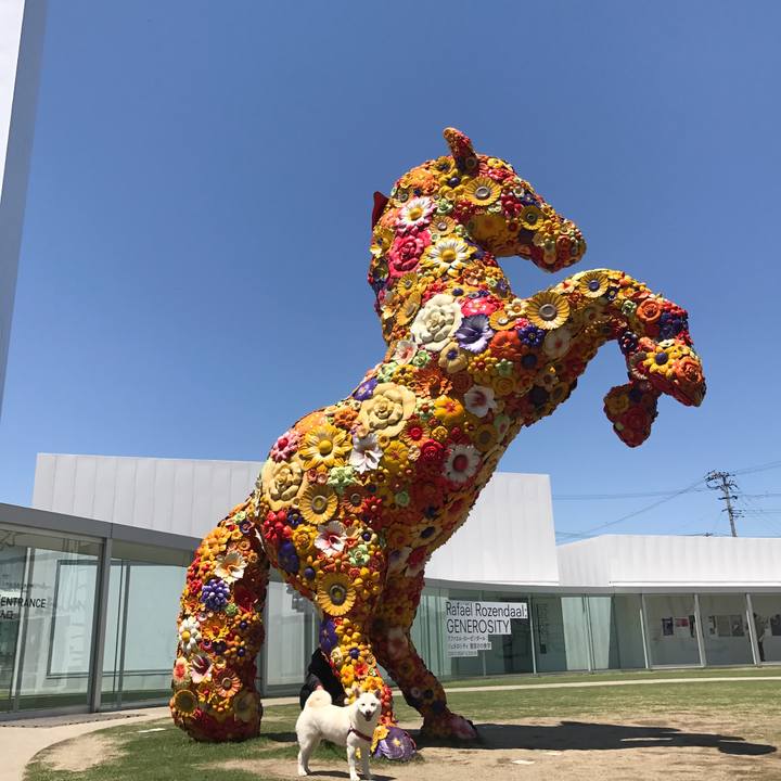 B629cbca fbbb 4ac4 809f 42ba0f67b048 1526786292394